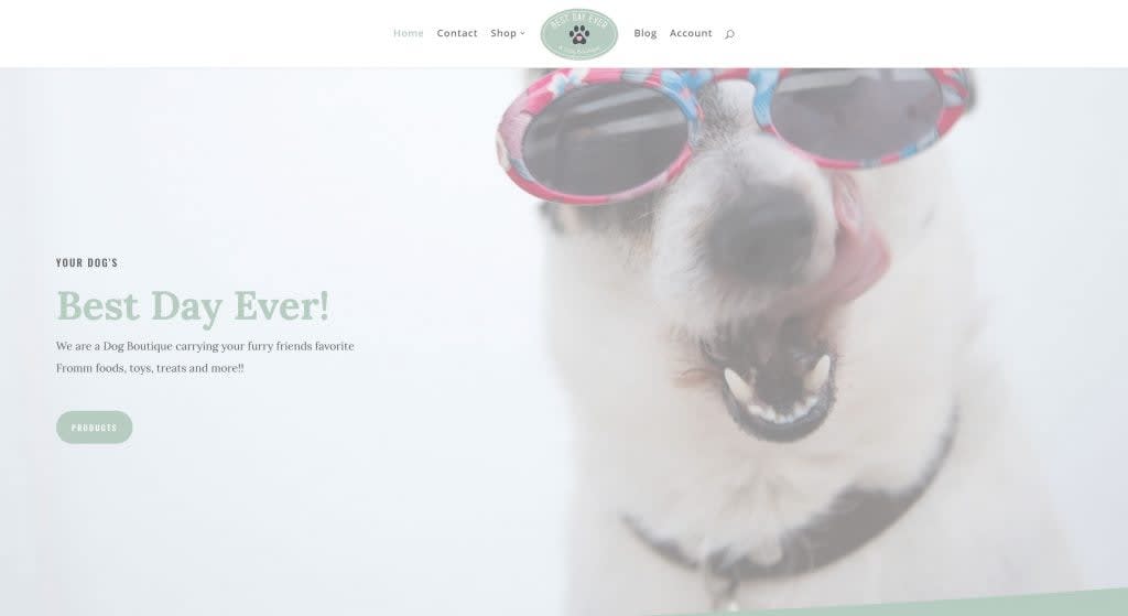 Best Day Ever, A Dog Boutique site launch