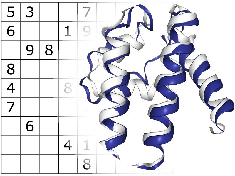 A Sudoku-solving algorithm holds promise for protein medicine