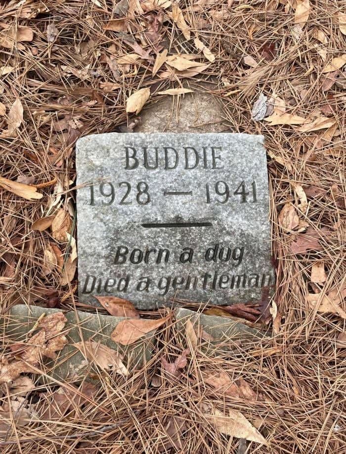 This headstone for Buddie, the gentleman...