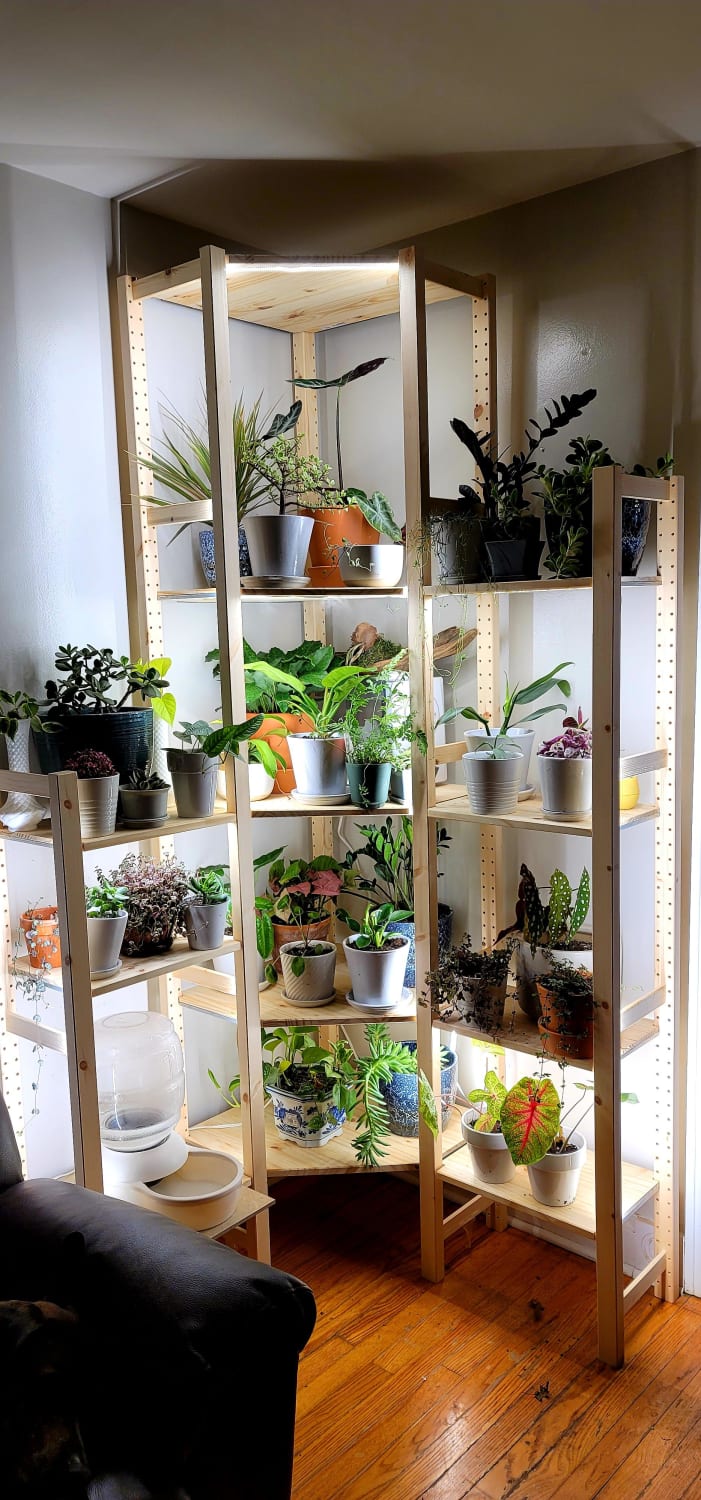 I'm in love with my new shelf!