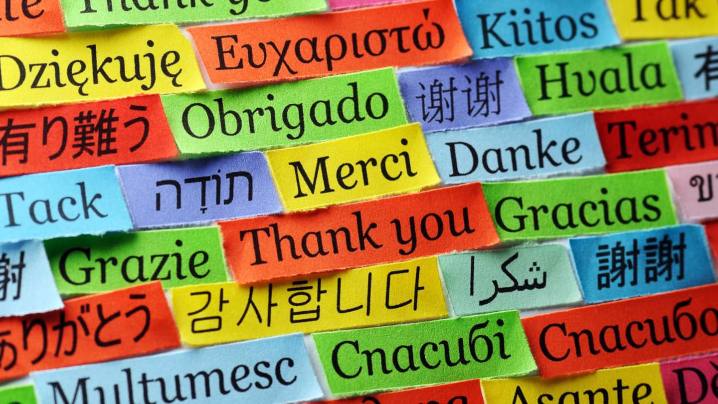 8 Professional Translators Choose Their Favorite 'Untranslatable' Words