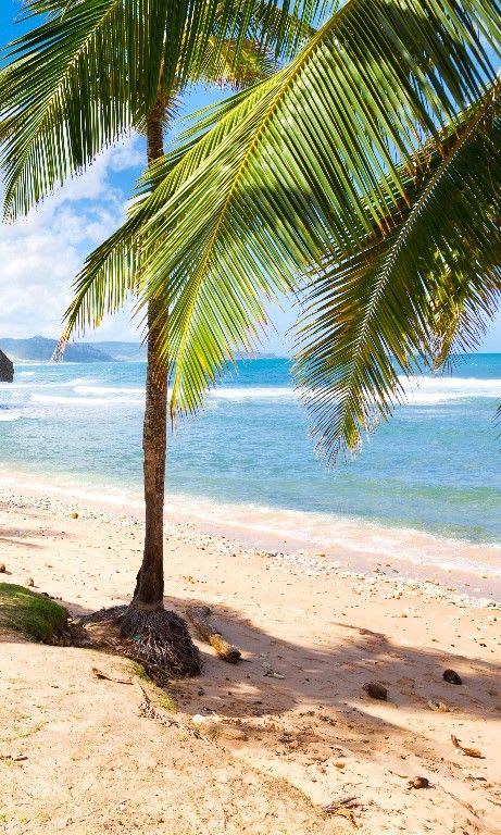 The 25 Best Island Beaches in the World: 2020 Readers' Choice Awards | Beaches in the world, Beautiful beaches, Island beach