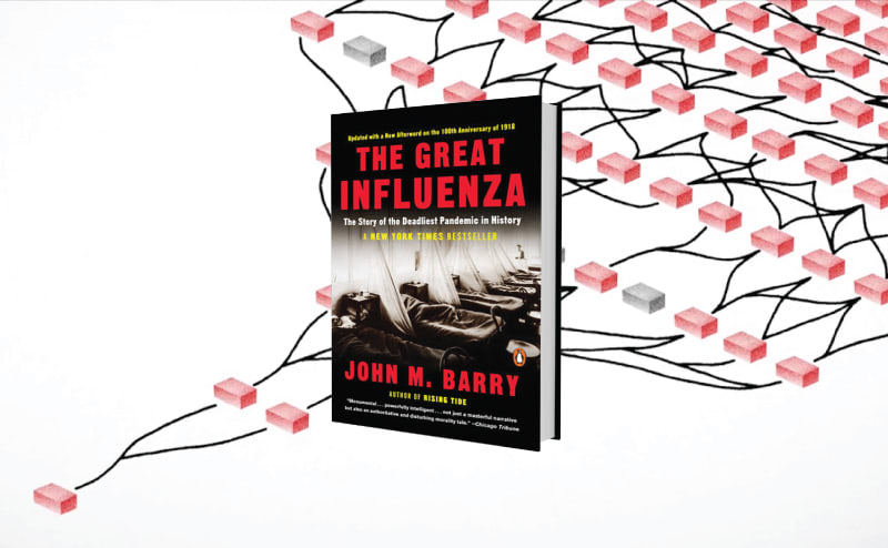 This book taught me a lot about the Spanish Flu