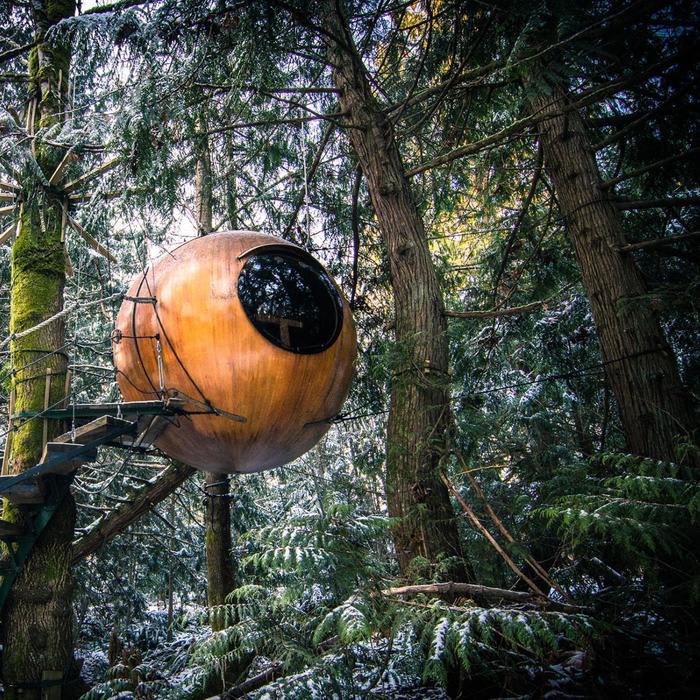 9 Tree Houses You Can Actually Sleep In