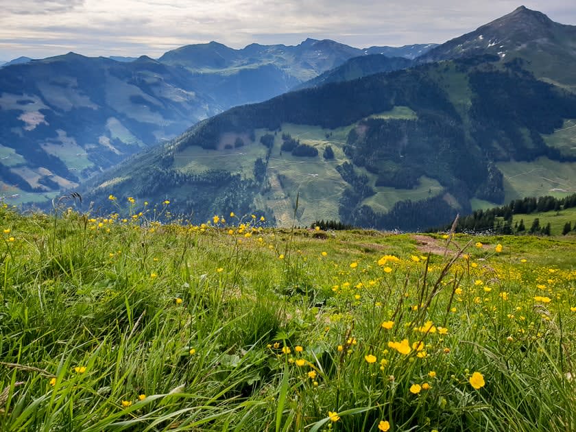 10 Reasons you need to visit Alpbach in Summer
