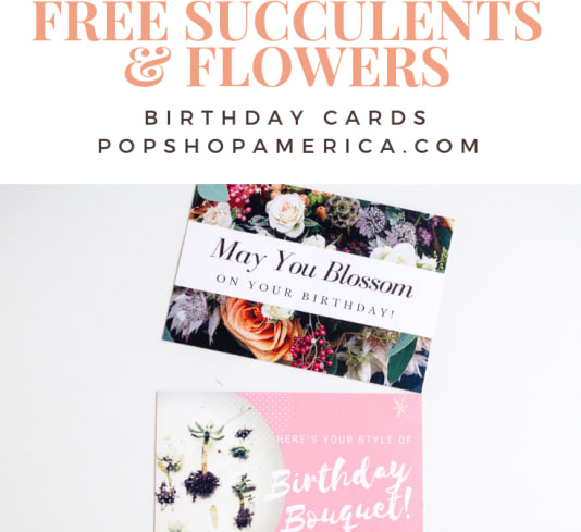 Free Succulents & Flowers Birthday Cards