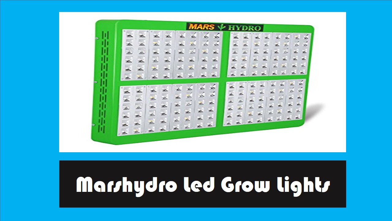 Top 5 Marshydro LED Grow Lights Review For You