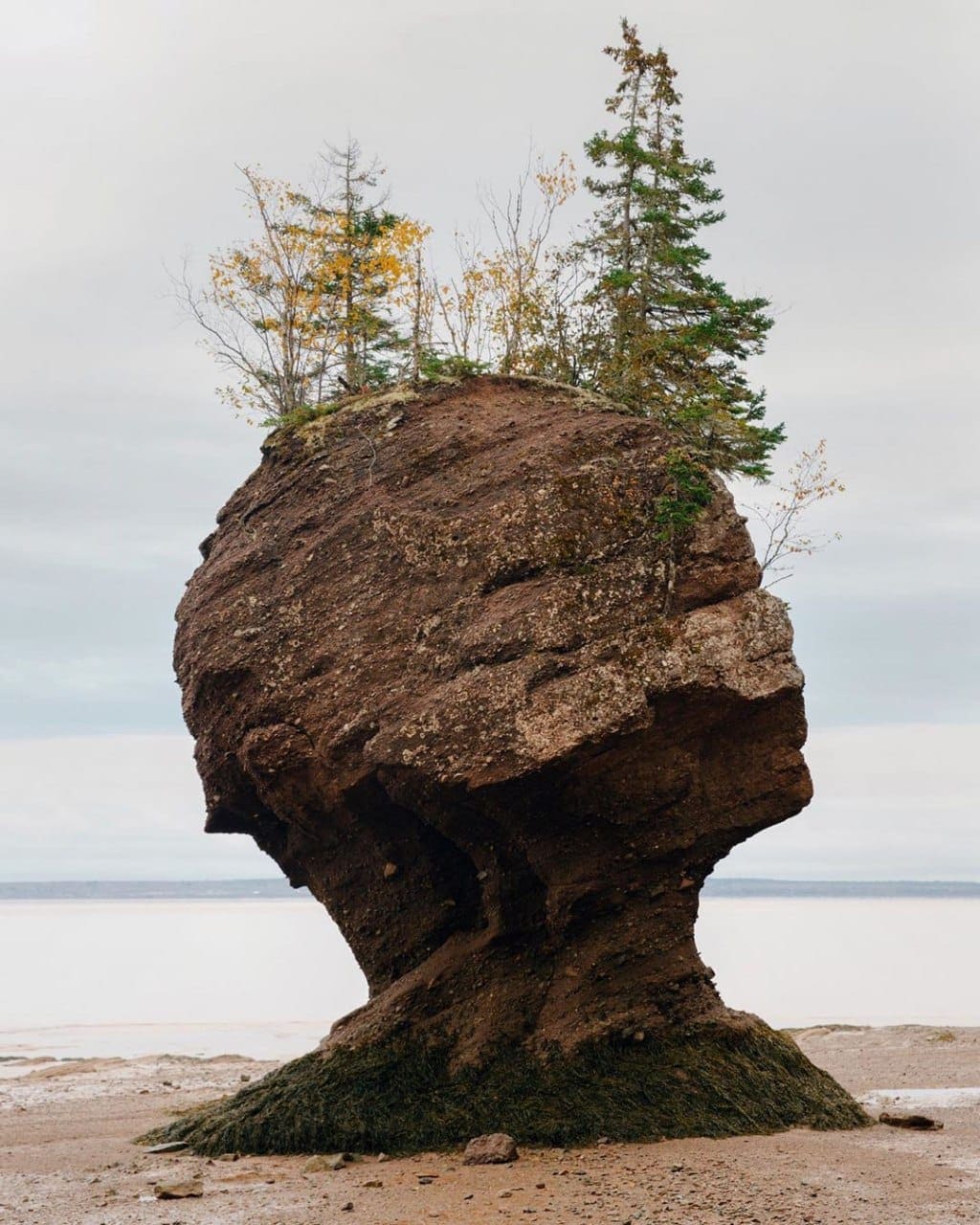 Stunning sculpture by nature in New Brunswick, Canada