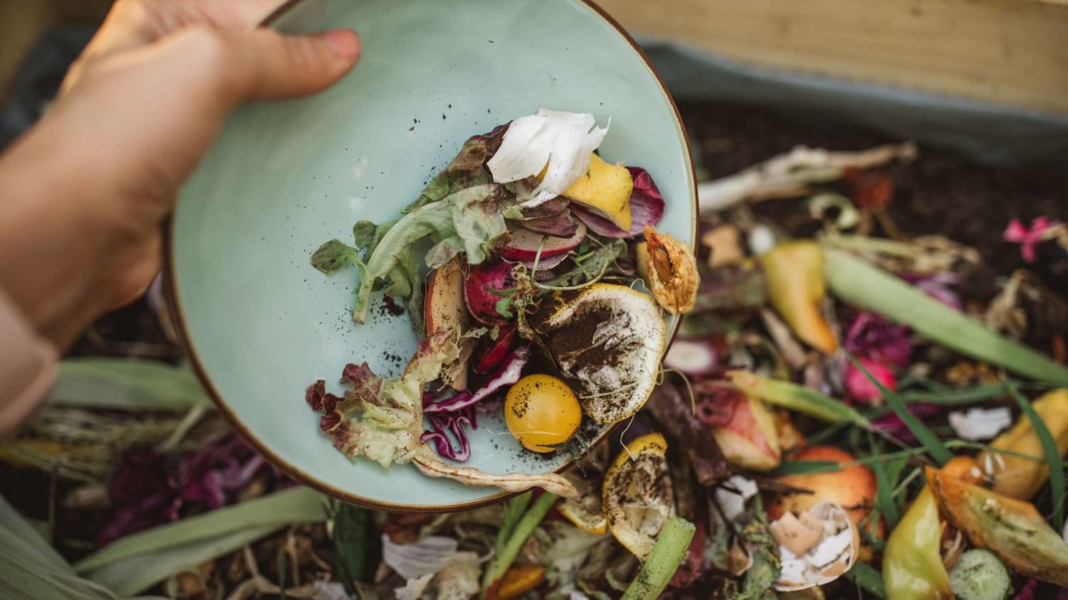 Vermont Just Banned Residents From Throwing Food Scraps in the Trash