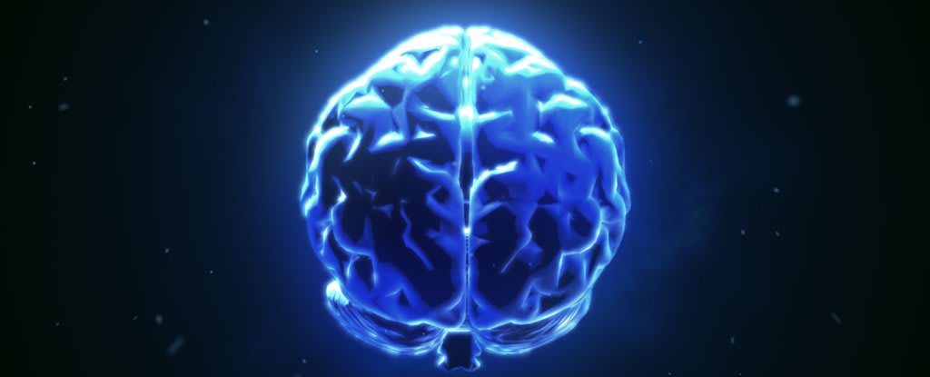 Brains of 3 People Have Been Successfully Connected, Enabling Them to Share Thoughts