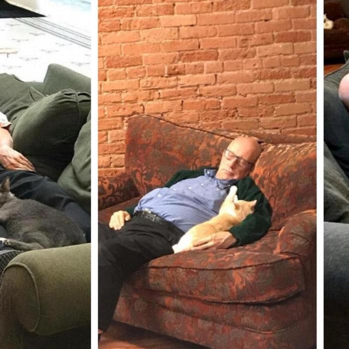 75-Year-Old Volunteer Visits Animal Shelter Every Day And Naps With Cats