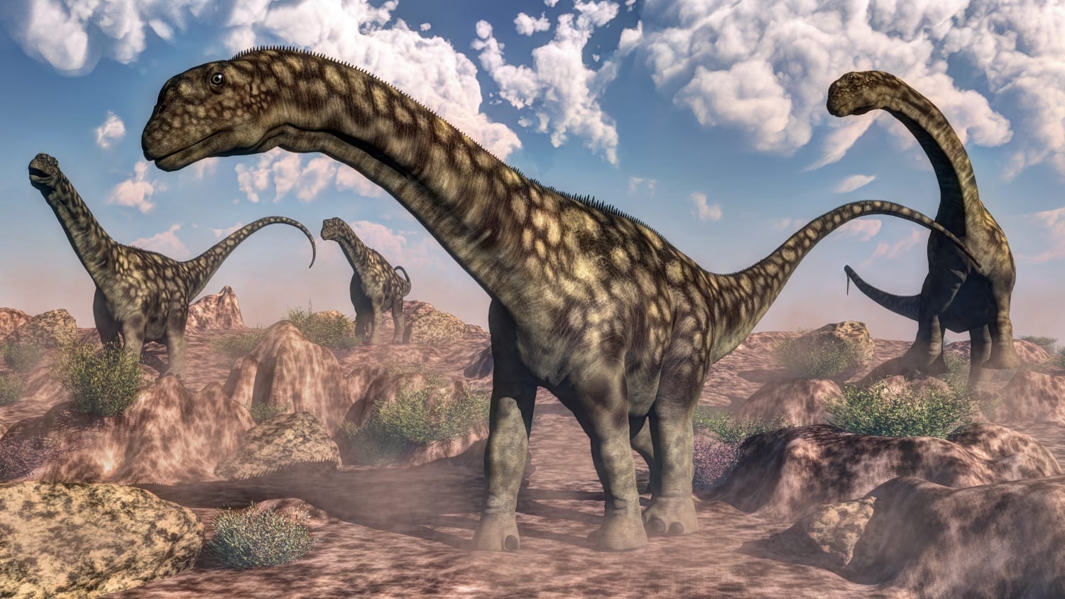 Which Dinosaur Is the Biggest Ever Found?