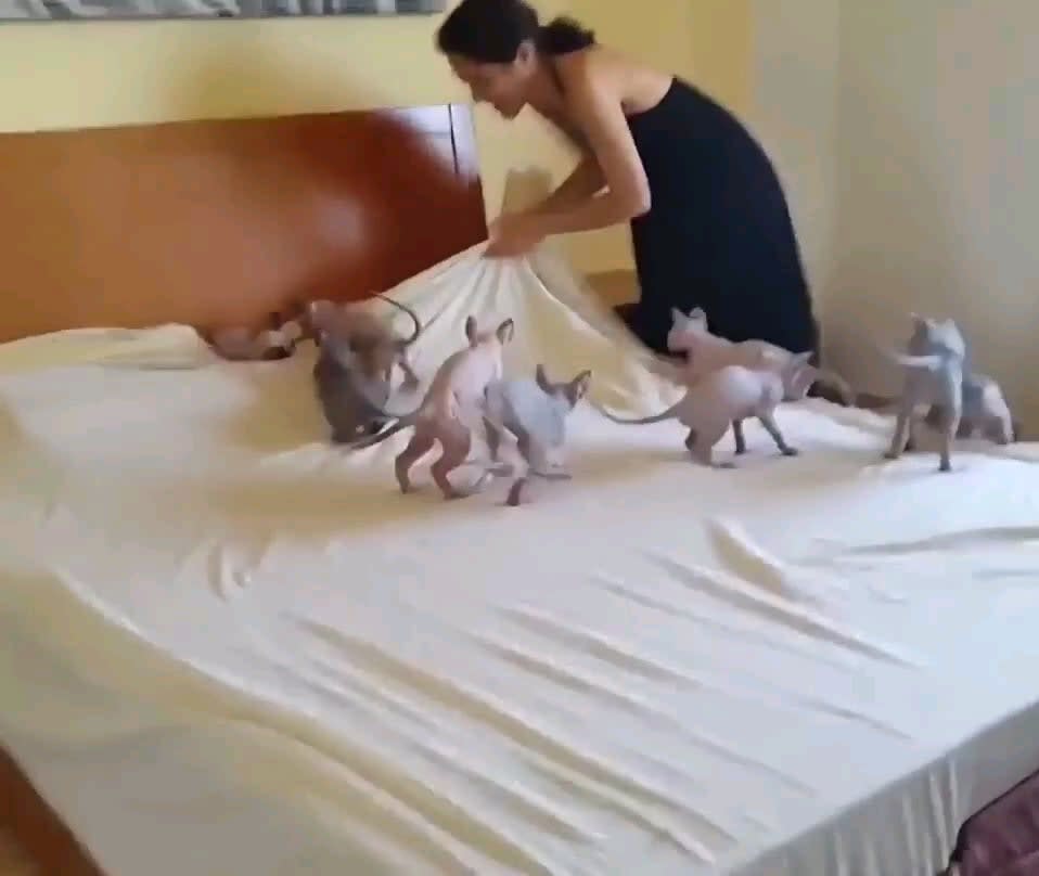 Hard to get all those wrinkles out of the sheets
