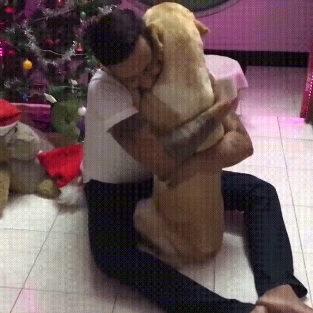 Doggo learned love! What will it do now?