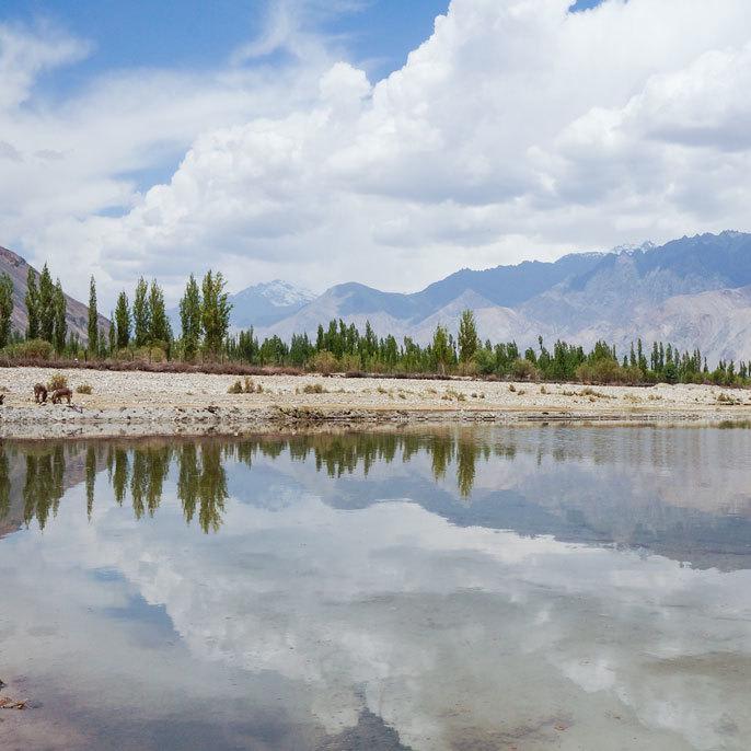 How to plan a trip to Nubra Valley from Leh?