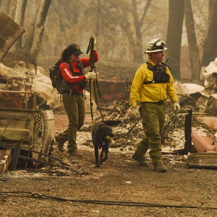 Officials brace for California fire death toll to rise as cadaver dogs called in