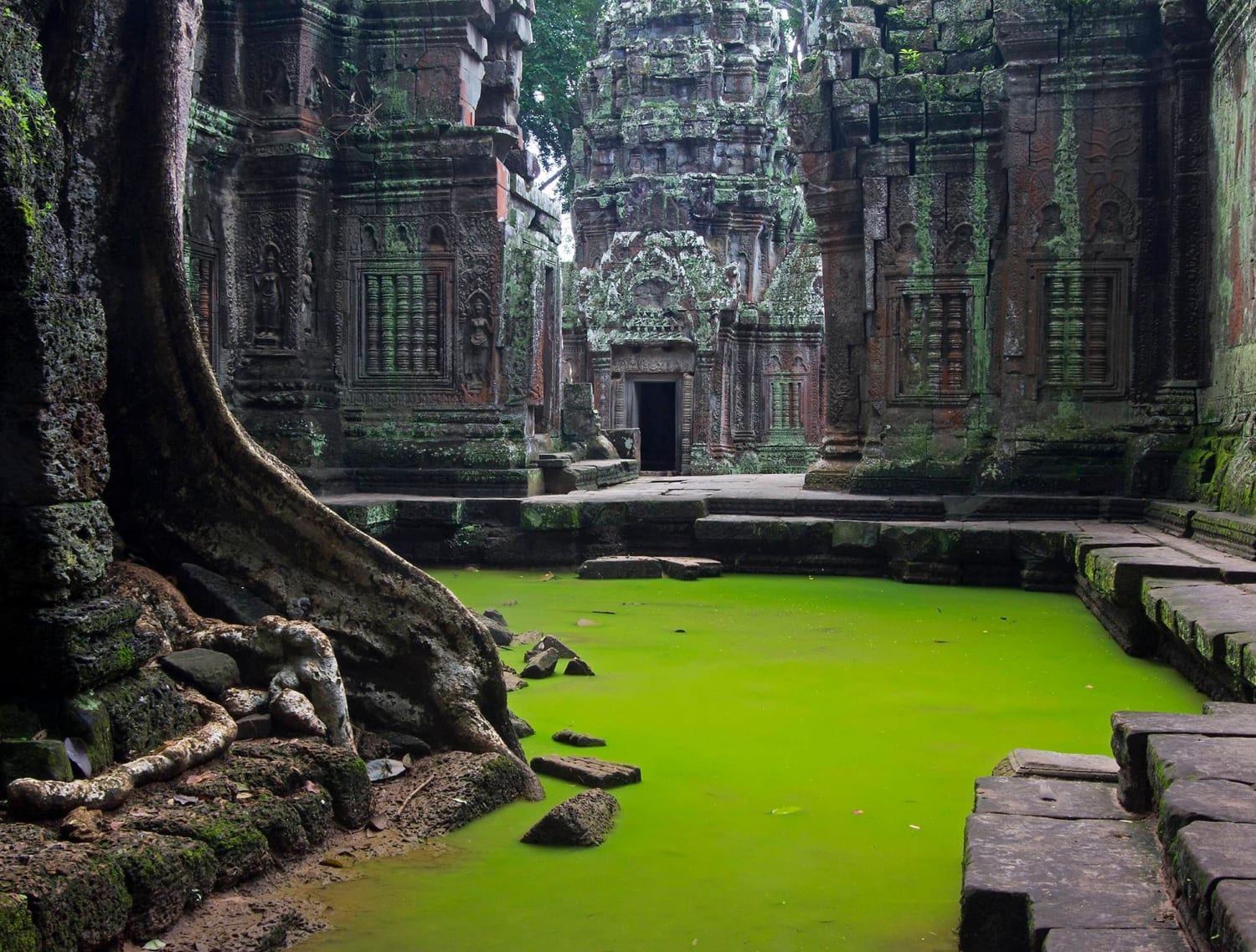 Ta Prohm temple in Siem Reap, Cambodia, built in the Bayon style largely in the late 12th and early 13th centuries CE. It was founded by the Khmer King Jayavarman VII as a Mahayana Buddhist monastery and university