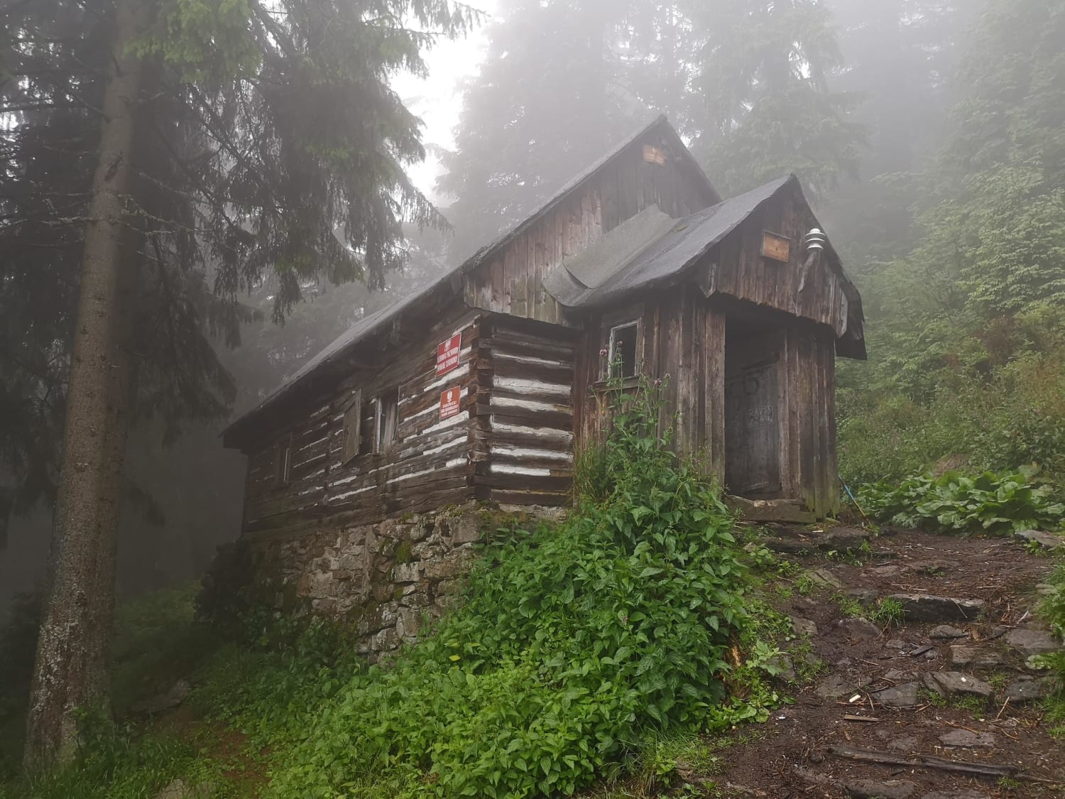 What would I do for a quiet cabin in a misty green forest.
