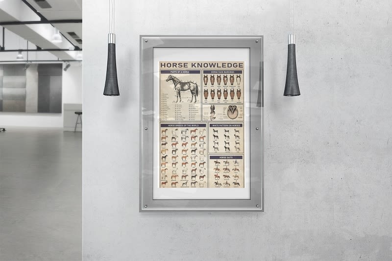 [Best seller] Horse knowledge poster