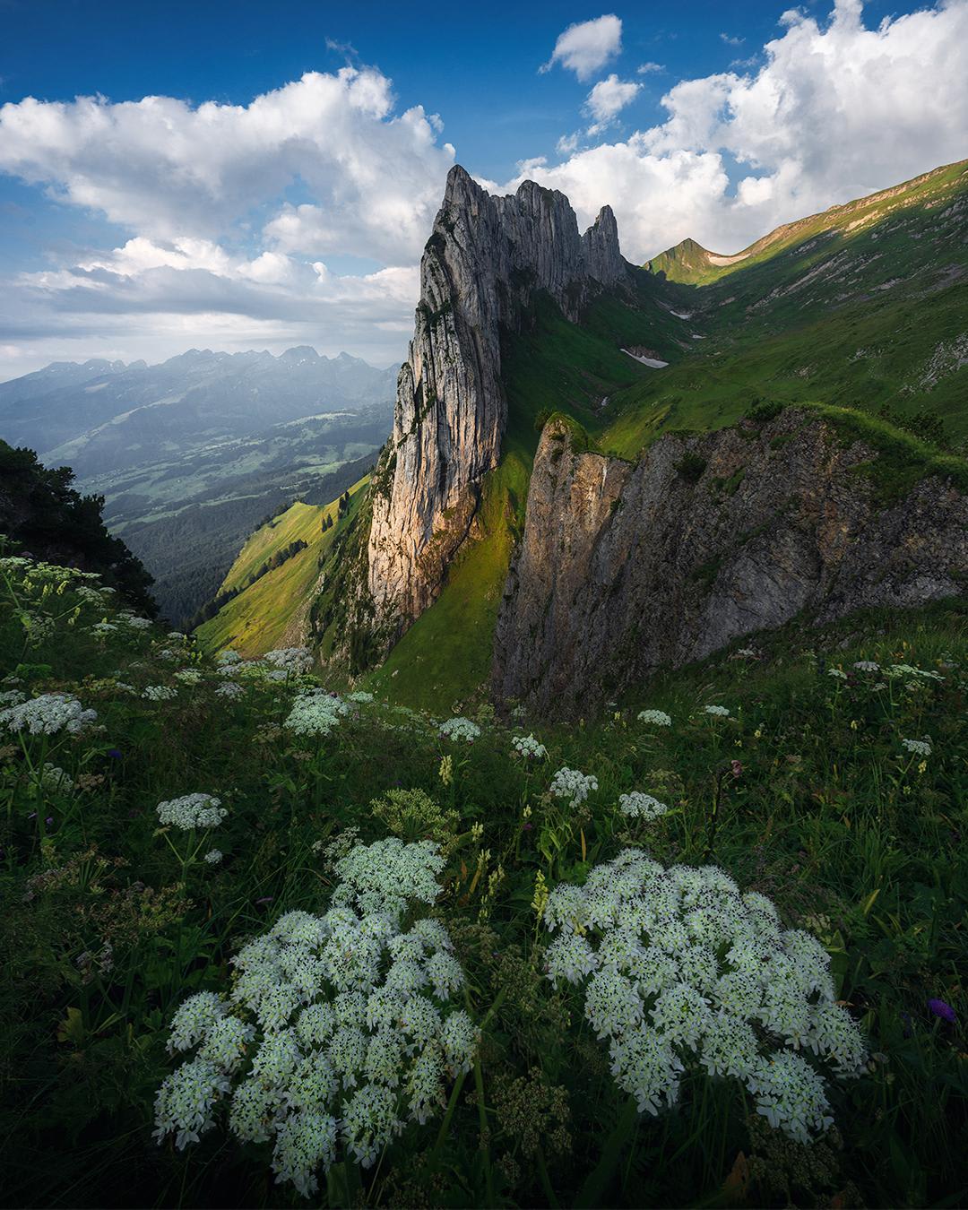 Summer in the Swiss alps! by @marcograssiphotography