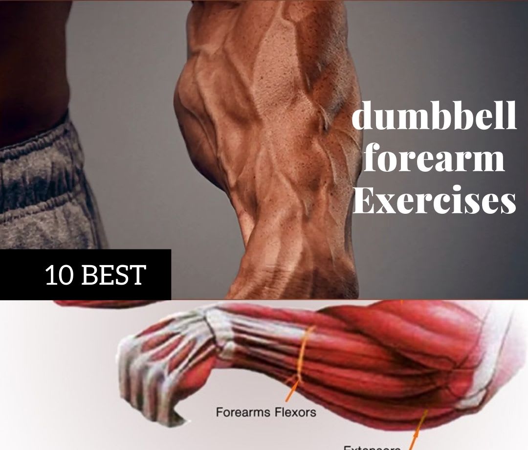 10 best dumbbell forearm Exercises for strengh forearms [workout Tools ]