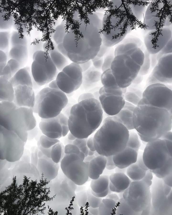 These amazing clouds.