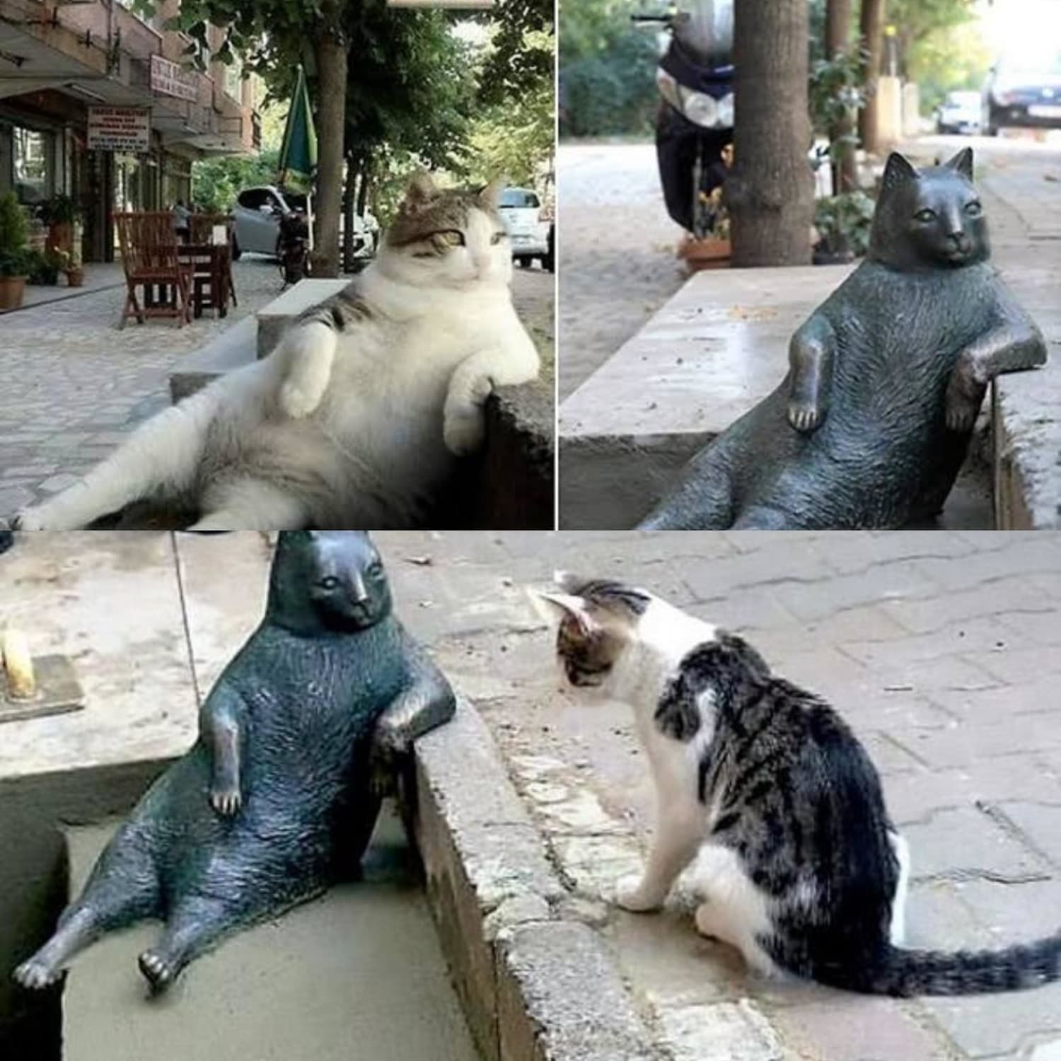 On Request. The statue of "Tombili". She was a street cat who lived in Istanbul. She was known for her friendliness and her way of leaning against steps.