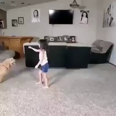 How this little girl train her dog.