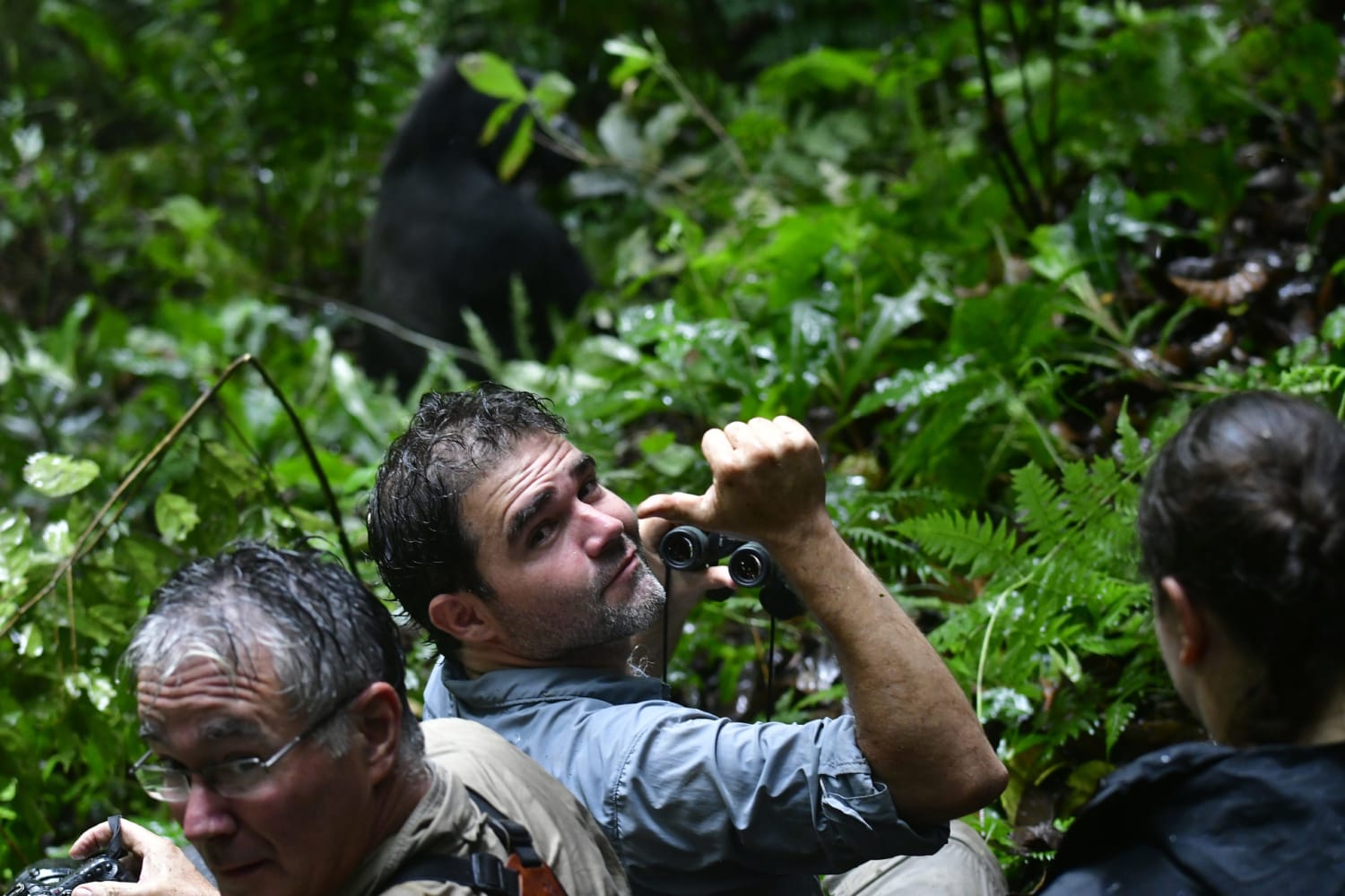 https://edgarbatte.com/2020/09/07/bwindi-national-park-home-of-the-mountain-gorillas-and-more