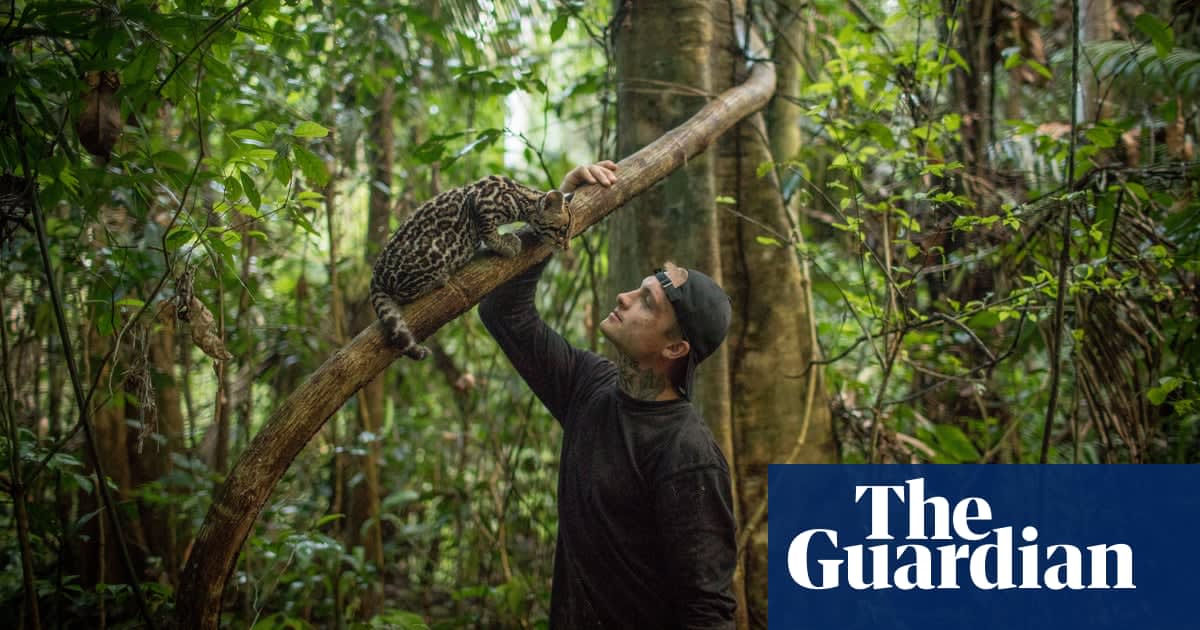 Experience: I raised an ocelot in the jungle