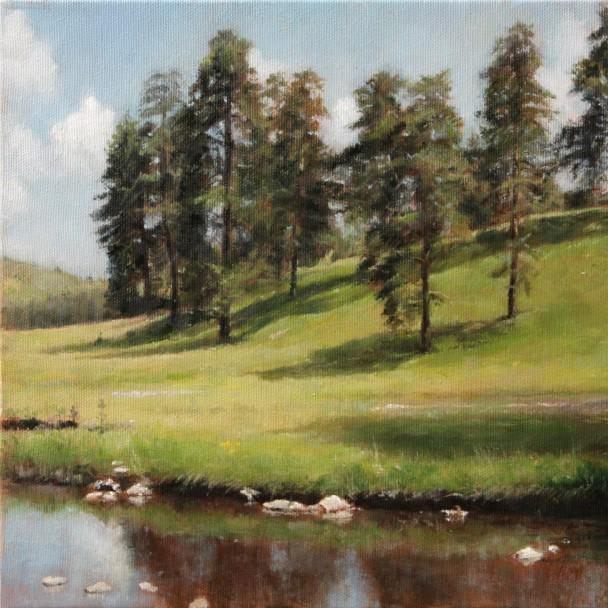 Mountain Hillside By Darko Topalski, Oil Painting