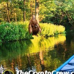 Kayak Fisherman Encounters Bigfoot