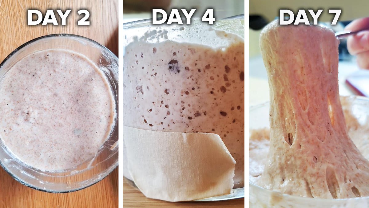 How To Make A Sourdough Starter From Scratch