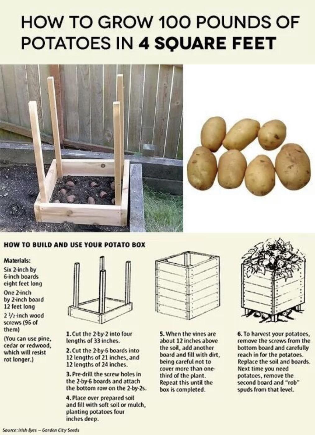 If you ever want to grow potatoes (maybe you’re trapped on the surface of Mars) here’s a guide to do so!