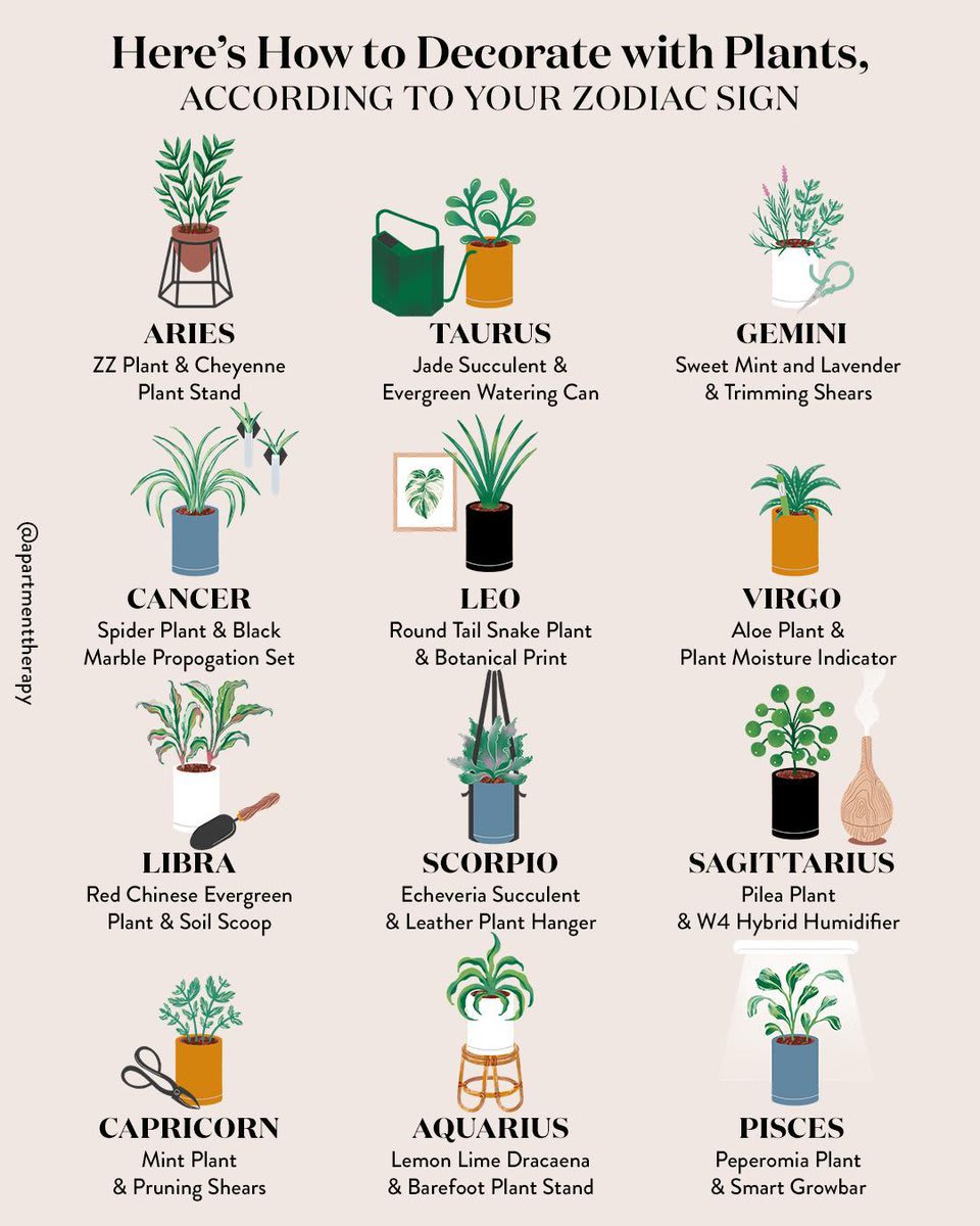Need plant help? Let the planets lend a hand! We gathered our favorite plants and accessories for each zodiac sign, and they’ve got us all starry-eyed. Find yours at the link in bio. (Illustration: @ jessdamelio)