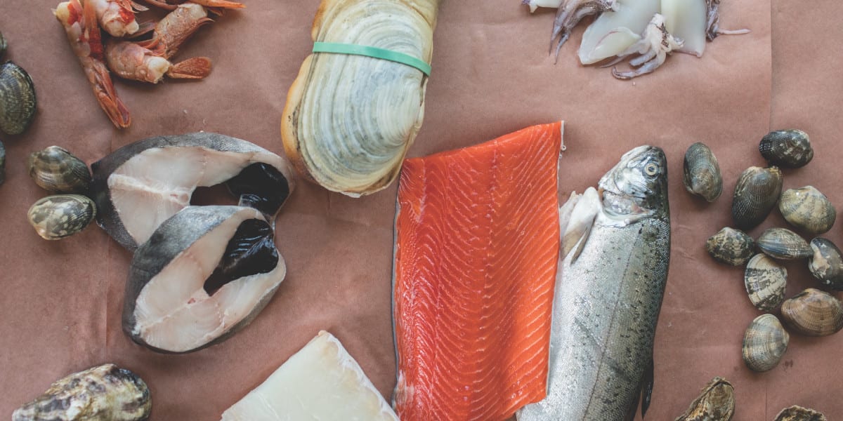 5 Seafood Tips Learned From Writing a Cookbook