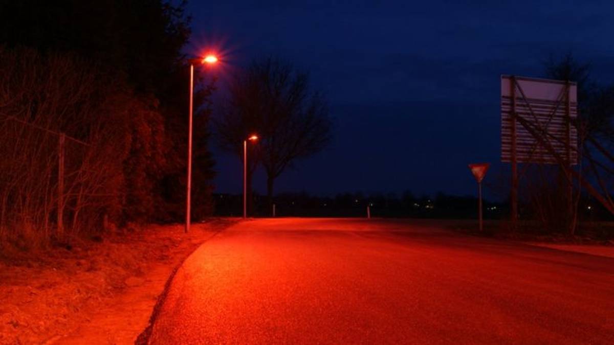 Bat-Friendly Street Lighting Installed To Support Local Wildlife