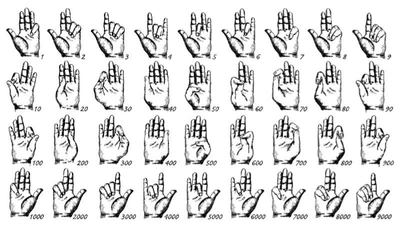 Finger Numerals
