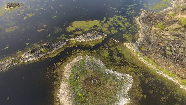 Australian Wildfires Uncovered Hidden Sections of a Huge, Ancient Aquaculture System