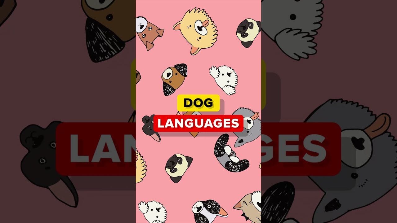 How Do Dogs Sound in Different Languages