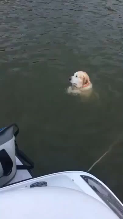 The goodest buoy