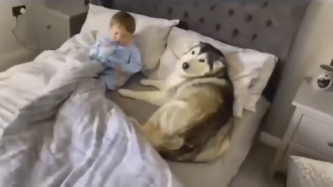 Billy decided to take a nap with the child