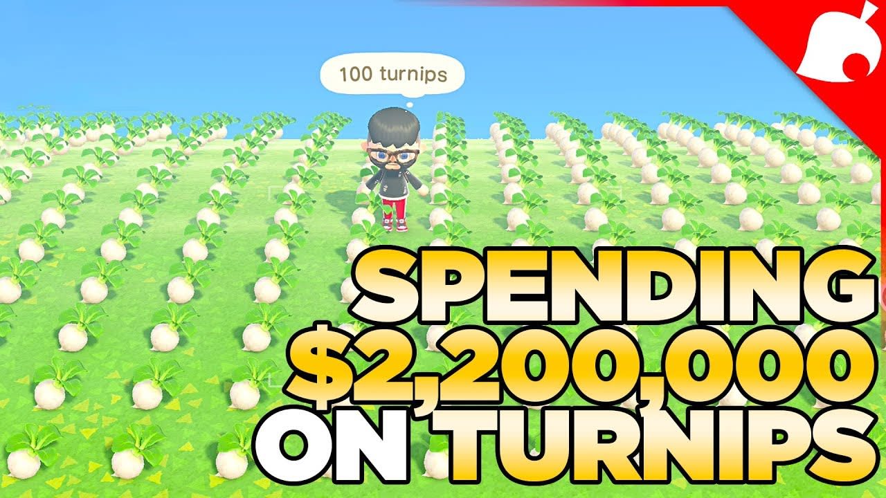 I Spend 2 Million Bells on Turnips in Animal Crossing New Horizons
