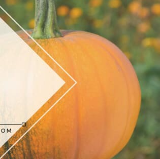 Halloween: Paint your own Pumpkin design ideas