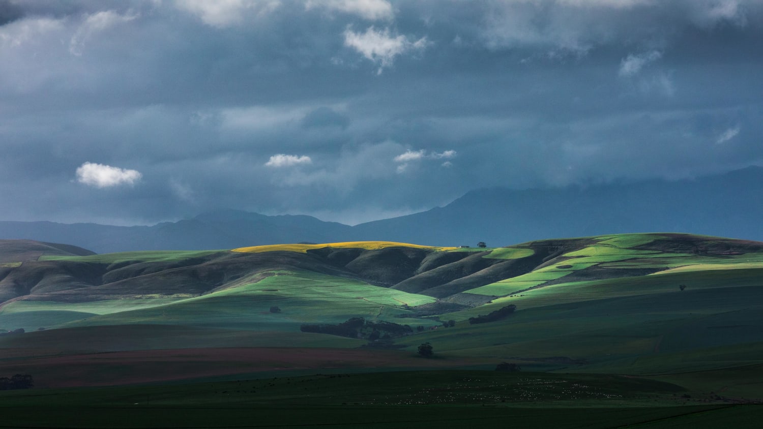 Caledon South Africa (Photo credit to Charl Folscher)