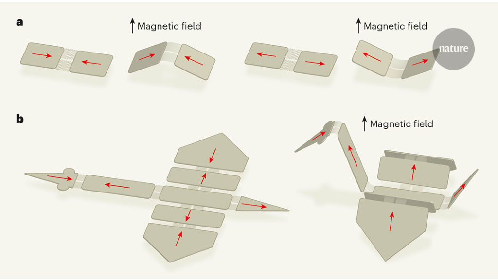 Soft microbots programmed by nanomagnets
