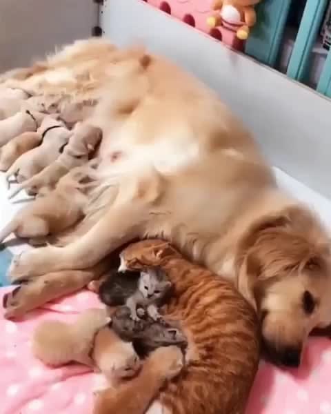 2 friends, 2 adorable families