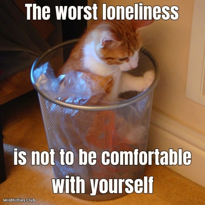 The worst loneliness is not to be comfortable with yourself