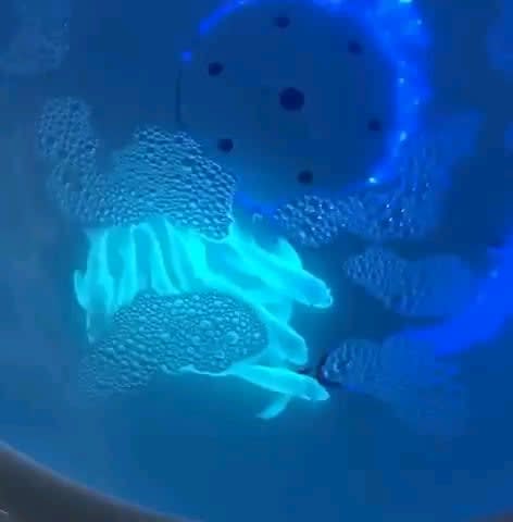 Scientist added jellyfish genes to crap fish DNA and these glowing fish are the result