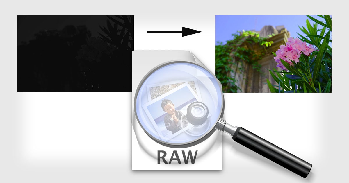 What Does an Unprocessed RAW File Look Like?